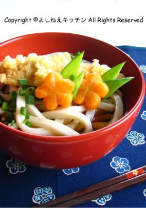 ササミのっけうどん-レシピのメイン写真