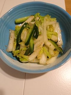 ☆白菜ときゅうりのシャキシャキナムル☆-レシピのメイン写真