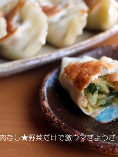 肉なし★野菜だけで激ウマ餃子★油揚げで-レシピのメイン写真