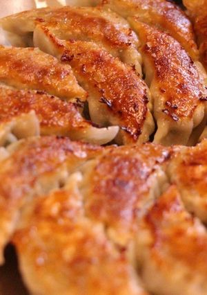 ボロボロしない！絶品ジューシー♡肉餃子-レシピのメイン写真