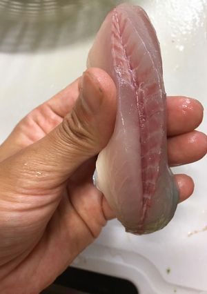 鯵も骨抜き方法-レシピのメイン写真