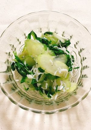 セロリ・しらす・大葉の出汁浸し-レシピのメイン写真