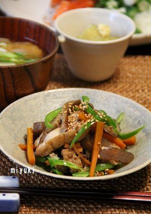 具だくさん！厚揚げ入りきんぴら-レシピのメイン写真
