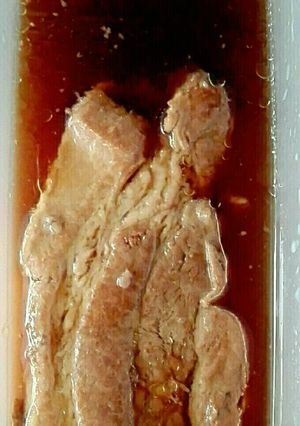 ジューシー豚角煮-レシピのメイン写真