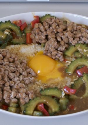 ゴーヤの納豆カレー-レシピのメイン写真