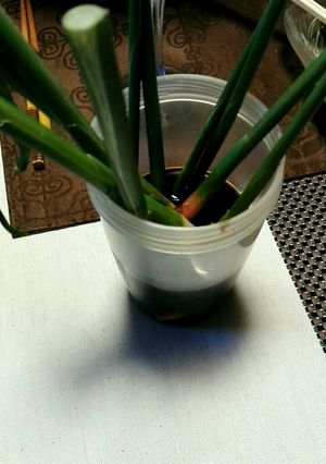 おすすめ　生姜スティック-レシピのメイン写真