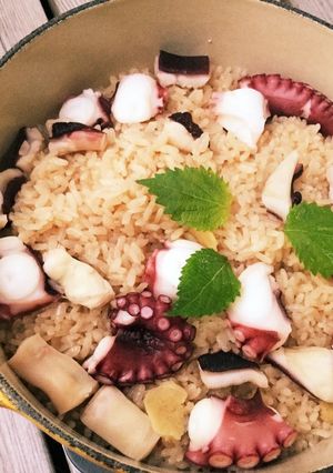 アウトドアでル・クルーゼ〜美味簡単タコ飯-レシピのメイン写真