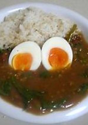 サッと簡単！ほうれん草と豚挽き肉のカレー-レシピのメイン写真