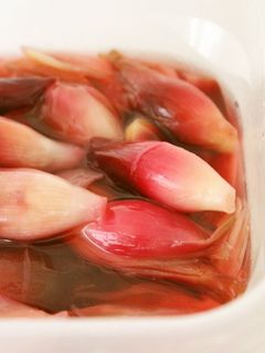 簡単♪美味♪茗荷の甘酢漬け-レシピのメイン写真