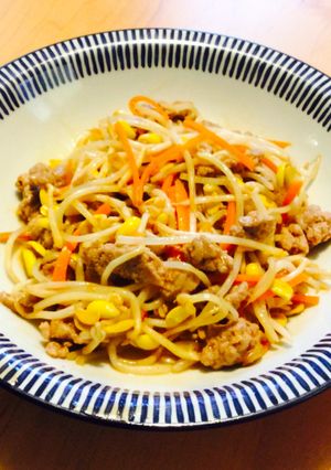 ひき肉と豆もやしのピリ辛炒め-レシピのメイン写真