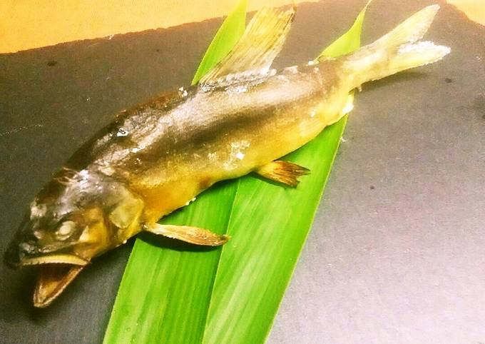 魚グリルで簡単！料亭みたいな鮎の塩焼き♪ by ラスクおじさん♪ 【クックパッド】 簡単おいしいみんなのレシピが392万品