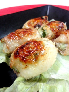 鳥皮餃子-レシピのメイン写真