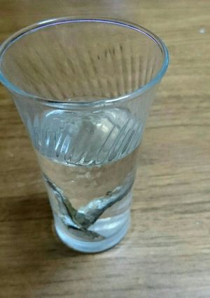 ファインディング煮干し-レシピのメイン写真