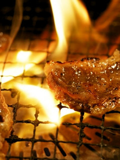 焼肉の漬けだれ(大和酵素漬け)-レシピのメイン写真