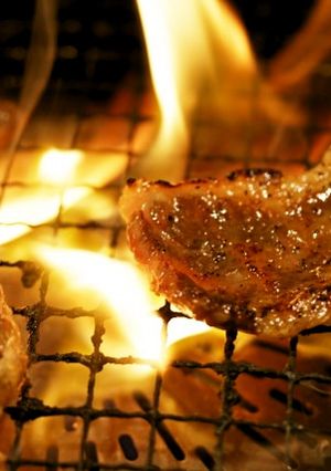 焼肉の漬けだれ（大和酵素漬け）-レシピのメイン写真