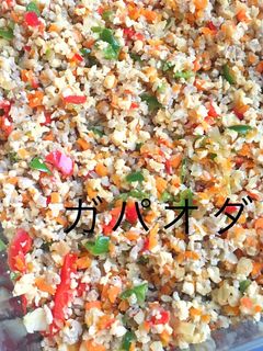 高野豆腐でカサ増しヘルシー♪ガパオライス-レシピのメイン写真