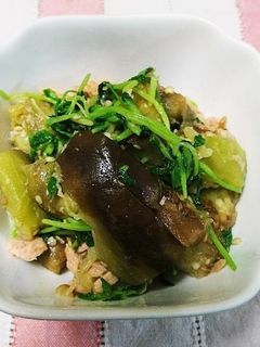 焼きなすと豆苗のサラダ-レシピのメイン写真