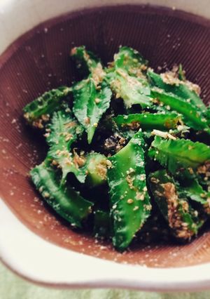 四角豆のごま和え-レシピのメイン写真