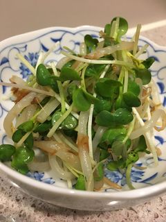 簡単節約!もやしとかいわれのさっぱり和え-レシピのメイン写真