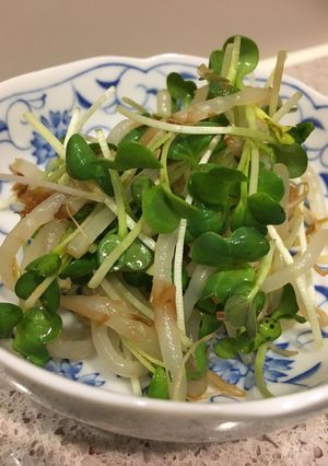 簡単節約！もやしとかいわれのさっぱり和え-レシピのメイン写真