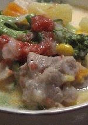 チキンのシチューのようなスープ-レシピのメイン写真
