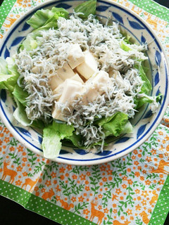豆腐とカリカリしらすのサラダ-レシピのメイン写真