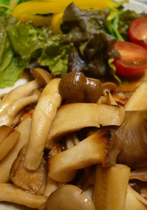 鮭のソテー　きのこレモンバターソース-レシピのメイン写真