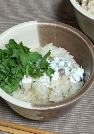 爽やか★レモン風味の鯛めし-レシピのメイン写真