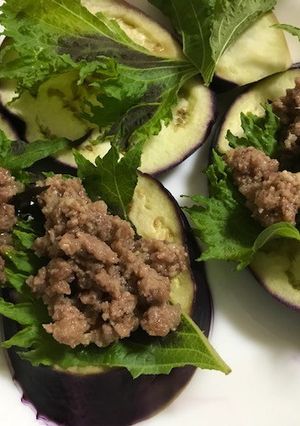ナスの肉みそのせ-レシピのメイン写真