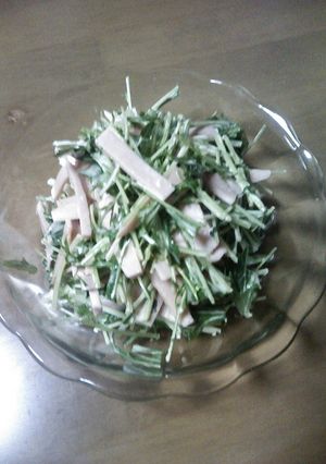 水菜が冷蔵庫にあったんで・・・-レシピのメイン写真