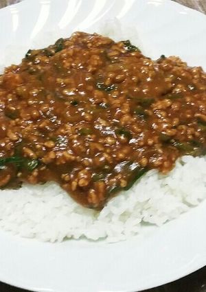 15分キーマカレー-レシピのメイン写真