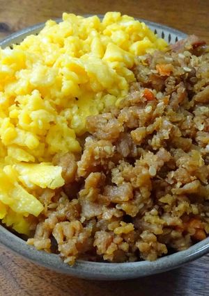 うま味抜群！きんぴらが入った2色そぼろ丼-レシピのメイン写真