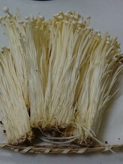 とっても便利!えのき茸の冷凍-レシピのメイン写真