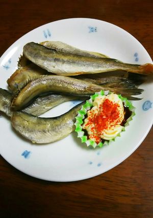 ★節約★自家製ハタハタの一夜干し-レシピのメイン写真