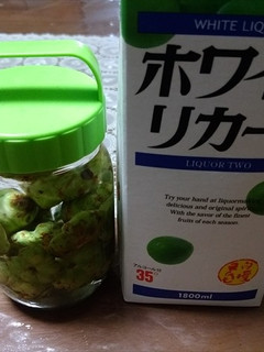 マタタビ酒-レシピのメイン写真