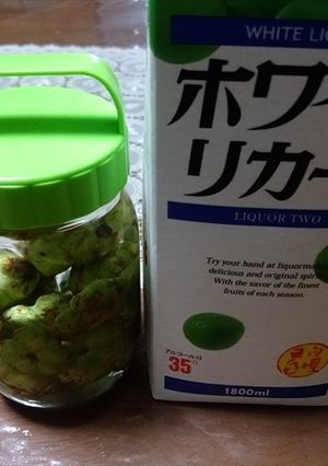 マタタビ酒-レシピのメイン写真