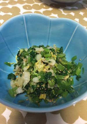 ほうれん草と白菜のごま和え-レシピのメイン写真