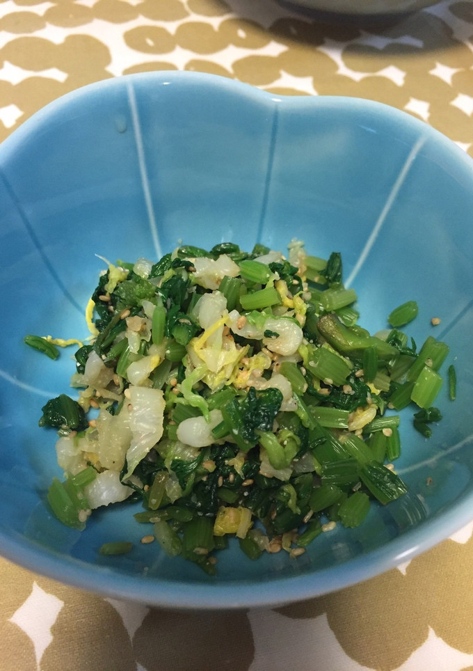 ほうれん草と白菜のごま和え-レシピのメイン写真