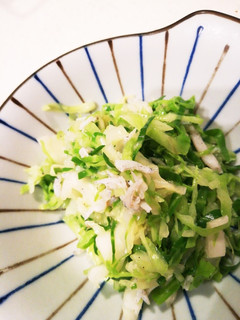 無限湯通しキャベツ&長ネギ-レシピのメイン写真
