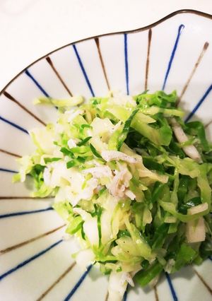 無限湯通しキャベツ＆長ネギ-レシピのメイン写真