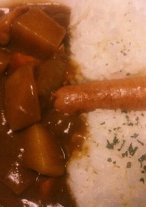 具が大きい(^o^)ダムチキンカレー-レシピのメイン写真