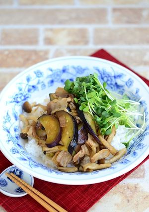 豚バラなすとかいわれ大根のベジ丼-レシピのメイン写真