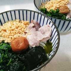 お手軽さっぱり♪梅豚うどん-レシピのメイン写真