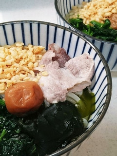 お手軽さっぱり♪梅豚うどん-レシピのメイン写真