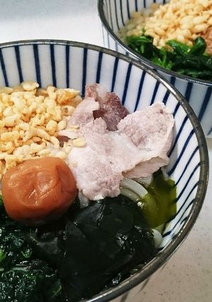 お手軽さっぱり♪梅豚うどん-レシピのメイン写真