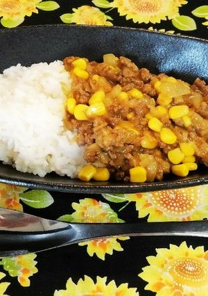 ★☆材料４つ！超簡単ドライカレー☆★-レシピのメイン写真