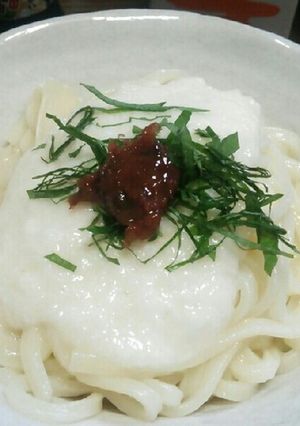 やまかけ梅肉うどん-レシピのメイン写真