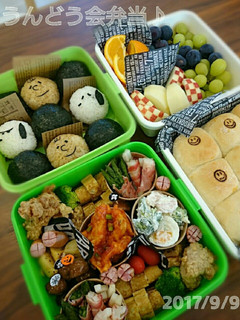 スヌーピー 運動会 キャラ弁当♪-レシピのメイン写真