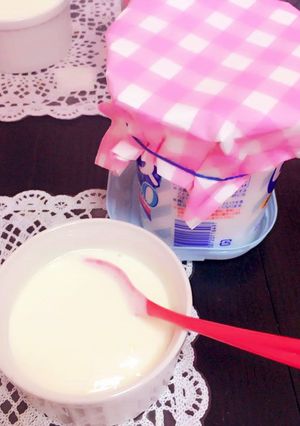 スキムミルクヨーグルト♡ダイエットに♪-レシピのメイン写真