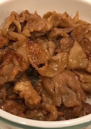 豚肉オンリー！黄金の味で豚バラ丼♪-レシピのメイン写真